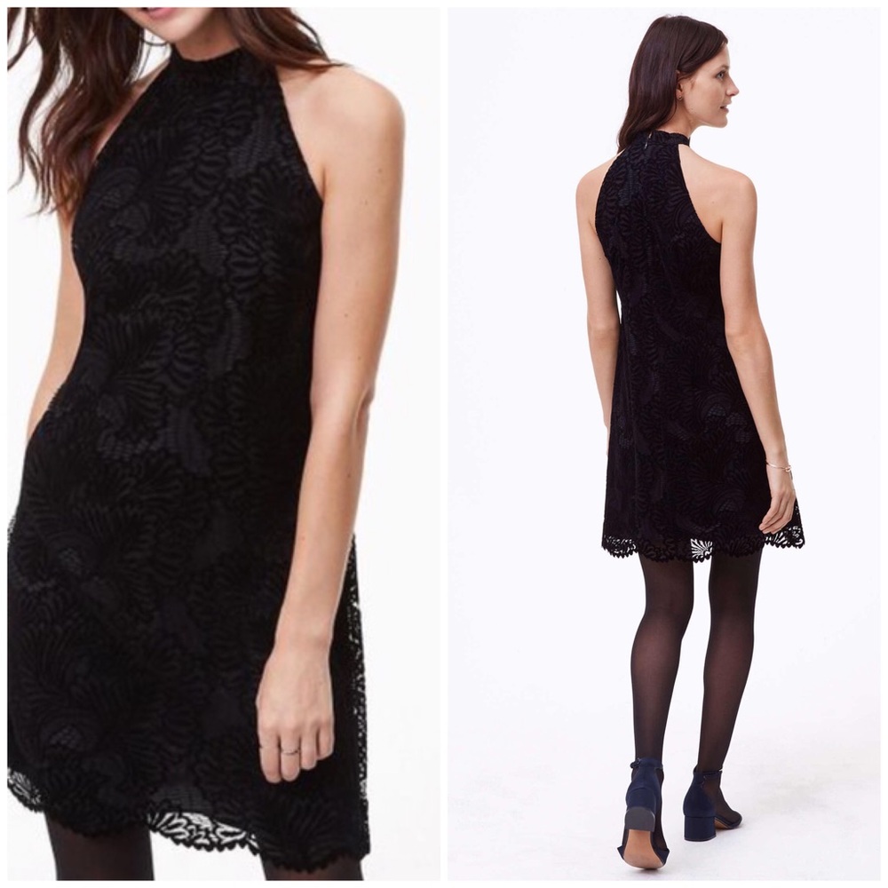 LOFT Velvet Lace high neck dress